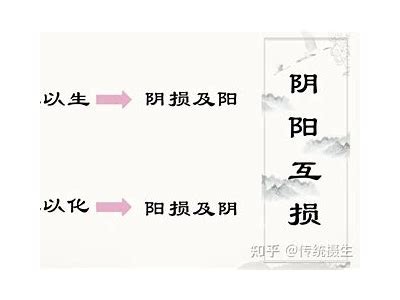 负阴抱阳：探索阴阳平衡的智慧与生活哲学