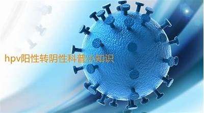 揭秘！如何成功完成HPV转阴的真实案例与经验分享