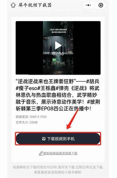 如何安全有效地观看抖音视频，详细指南与技巧分享