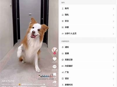 抖音短视频iOS破解版免费下载，畅享无限精彩内容