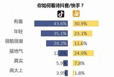 抖音与快手的对比检视：哪个更适合你？