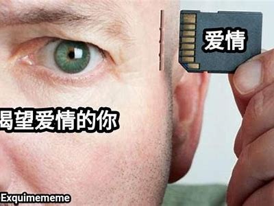 爱恋抖阴艾克：探索爱情与音乐的完美结合