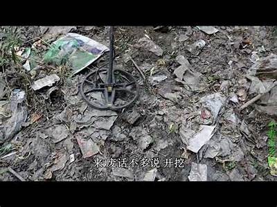 探索抖阴小妖：揭秘短视频平台的特有魅力与热门动向