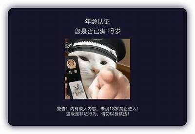 在抖音观看阴视频的安全入口与使用指南分享