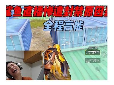 揭秘鲨鱼黄抖阴直播：震撼场面与真实故事曝光！