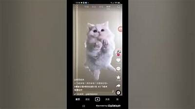 如何在苹果手机上安装抖音App：详细步骤与技巧指南