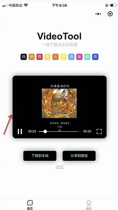 如何通过百度云盘下载抖音视频的详细步骤解析