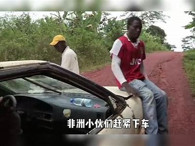 忘忧草抖阴：探秘这款神奇草药的功效与使用方法