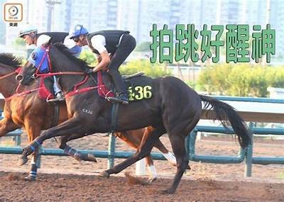 探秘抖阴F2代：了解新一代短视频平台的魅力与动向