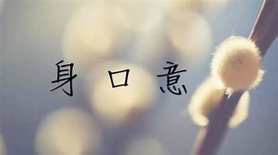 畅享乐趣：与抖阴相似的热门短视频app推荐