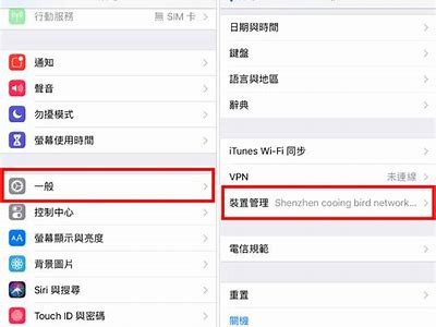 lutube老司机看片平台：畅享抖阴精彩视频资源