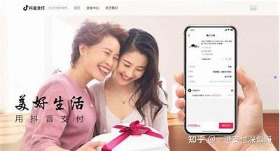 抖阴无法支付的动因及解决方法解析