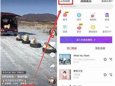 如何在抖音找到你想要的内容与达人技巧分享