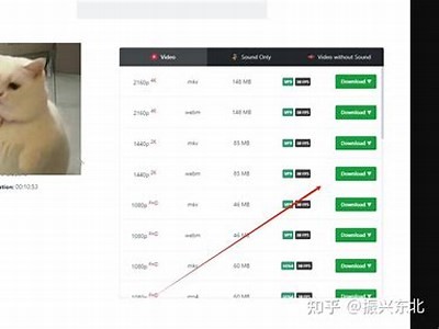 抖音视频下载器：轻松完成抖音阴免费下载，快速保存你的喜欢视频！