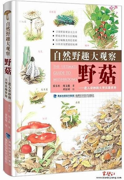 野花抖阴视频：深入探讨自然之美与野生植物的魅力
