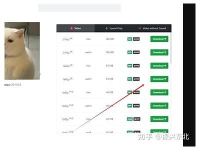 如何快速下载抖音app，获取精彩短视频资源