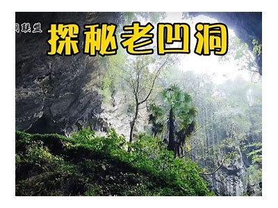 探秘抖阴双苤：深度解析其热门根本原因与用户体验