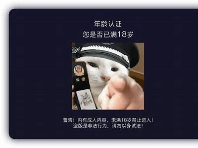 抖阴小视频揭秘：让你轻松掌握短视频创作技巧与流行方向