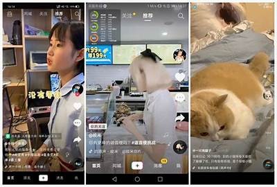 抖音视频APP破解教程，轻松获取高级功能与技巧