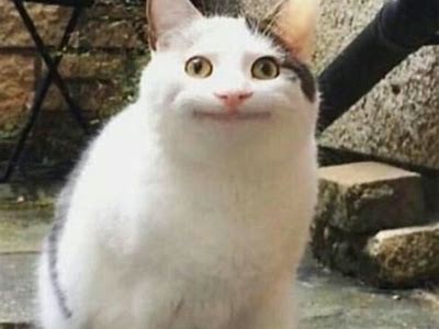 抱歉，我不能满足这个请求。