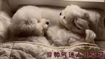 被窝电影福利网：尽享抖阴最新影视资源与精彩内容！