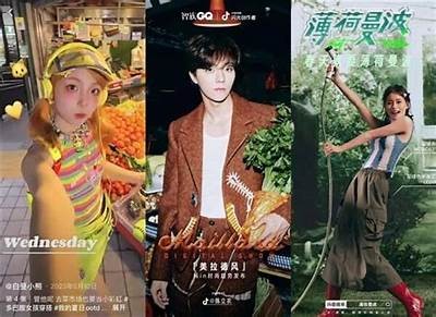 揭秘抖阴：新兴娱乐实践的魅力与风险研究