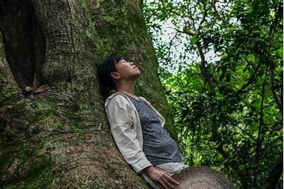野兰花草传播的秘密：抖阴视频带你了解这奇妙植物