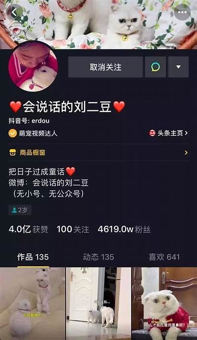 「阴光照耀：探索抖音短视频中的神秘美景与情感共鸣」