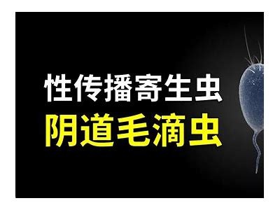 揭秘小阴虫的生活习性与防治方法，让你轻松应对！