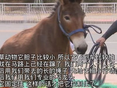 揭秘AV短视频抖阴特征：背后的心理与市场研究